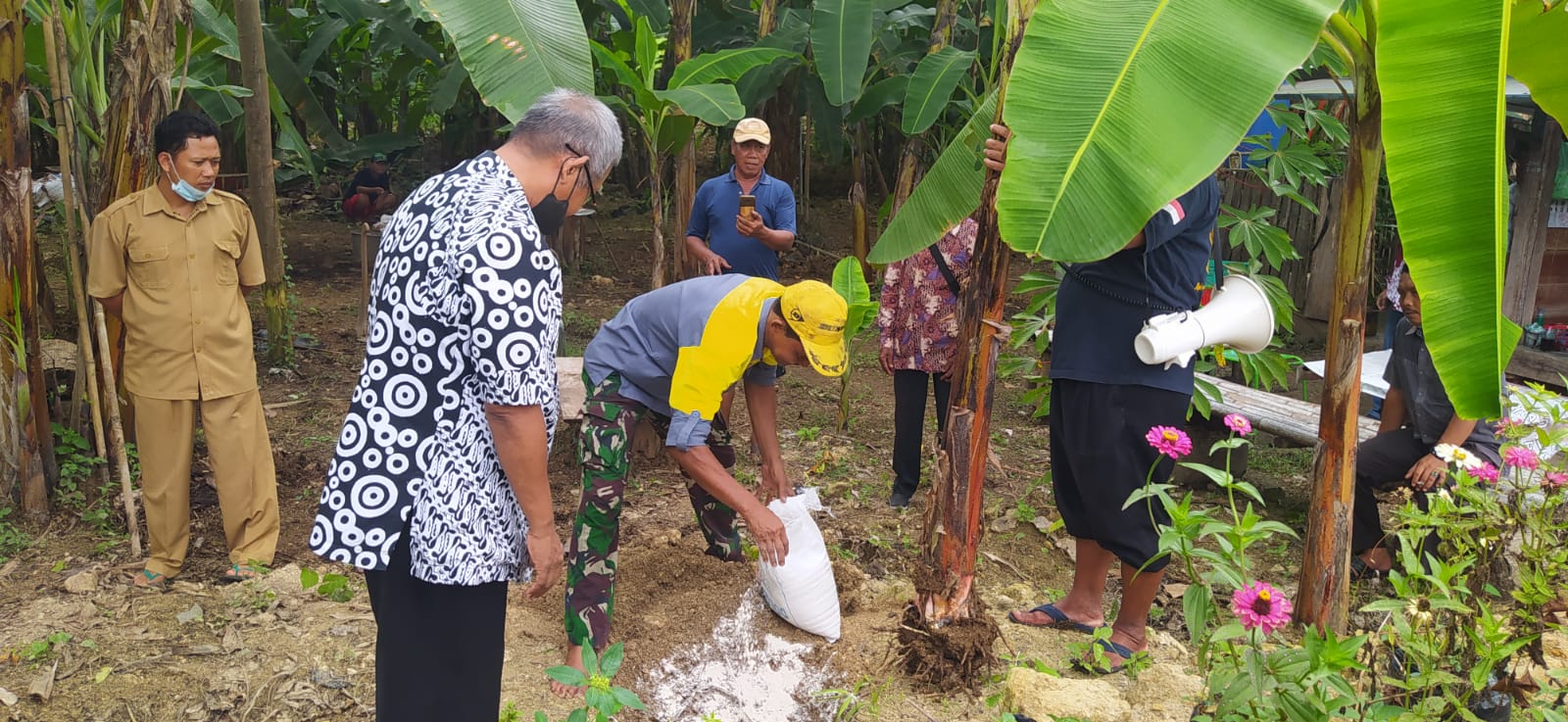 LPMK Sendangsari mengadakan Pelatihan Budidaya Pohon Pisang 